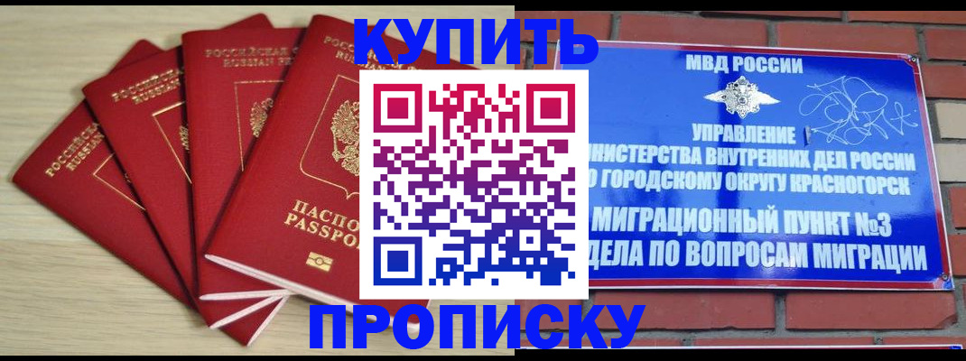 временная регистрация для всех в Геленджике